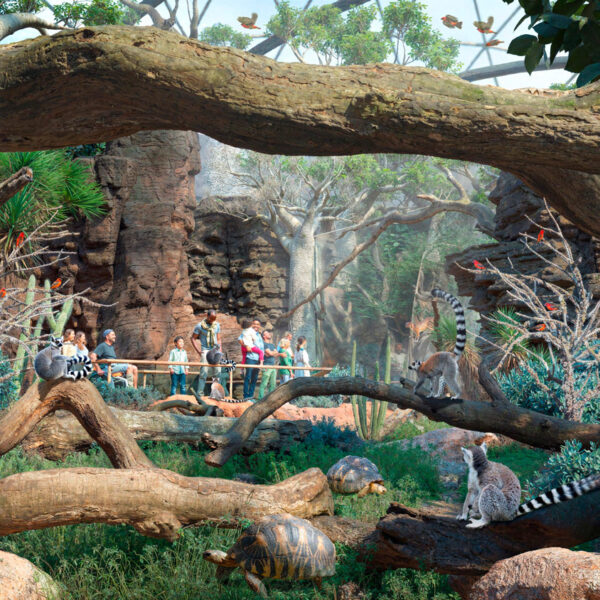 Vue d'intérieur du Biodôme du projet de futur Bioparc Genève