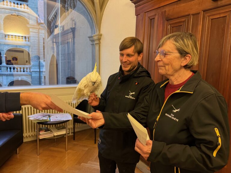 Remise de la pétition à la chancellerie