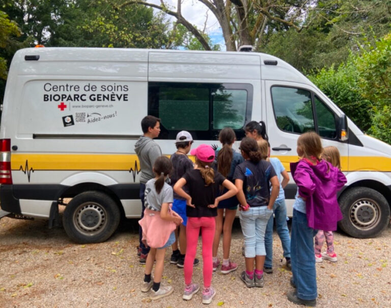 Enfants devant le camion de centre de soin mobile du Bioparc Genève pour les Camps d'été