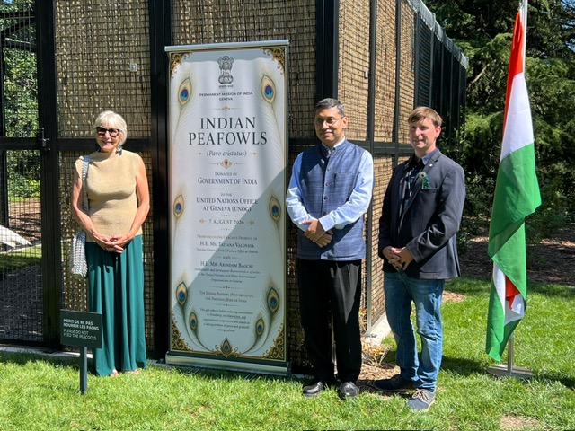 Paons UNOG 7 aout 2026 India Bioparc