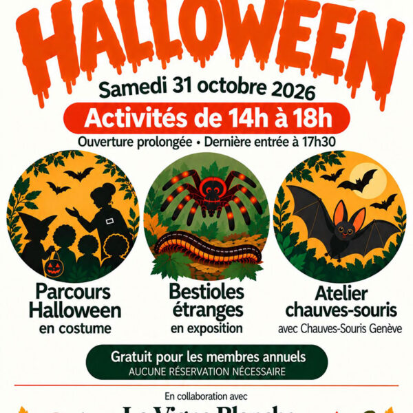 Halloween au Bioparc, samedi 31 octobre 2026. Activités de 14h à 18h