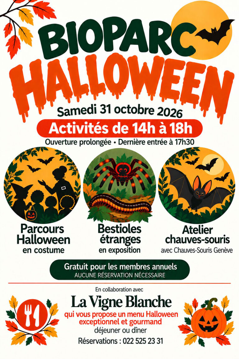 Halloween au Bioparc, samedi 31 octobre 2026. Activités de 14h à 18h